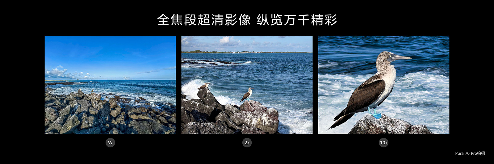 几分钟解决纠结症！618大促华为Pura 70系列推荐，谁是你的C位？
